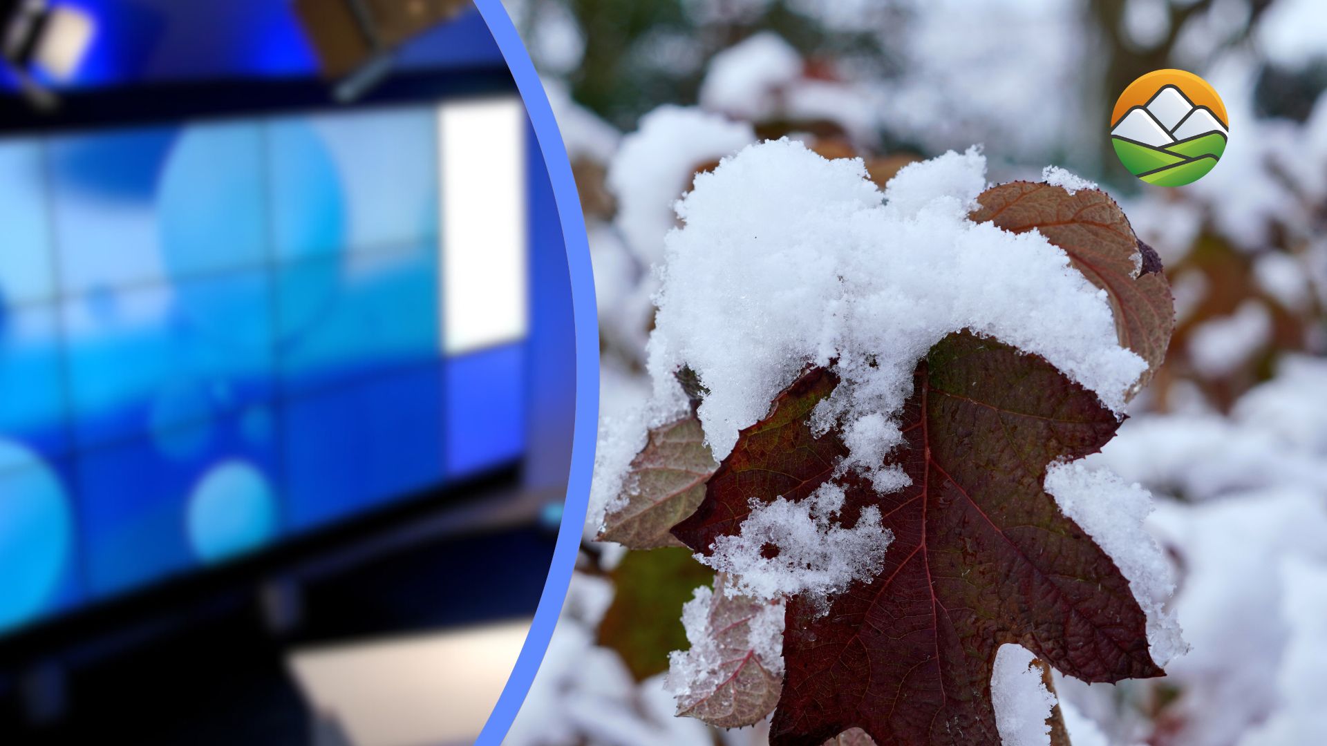 Vandaag Nieuws: een wit weekend vol sneeuwpret en ongemakken in het Heuvelland