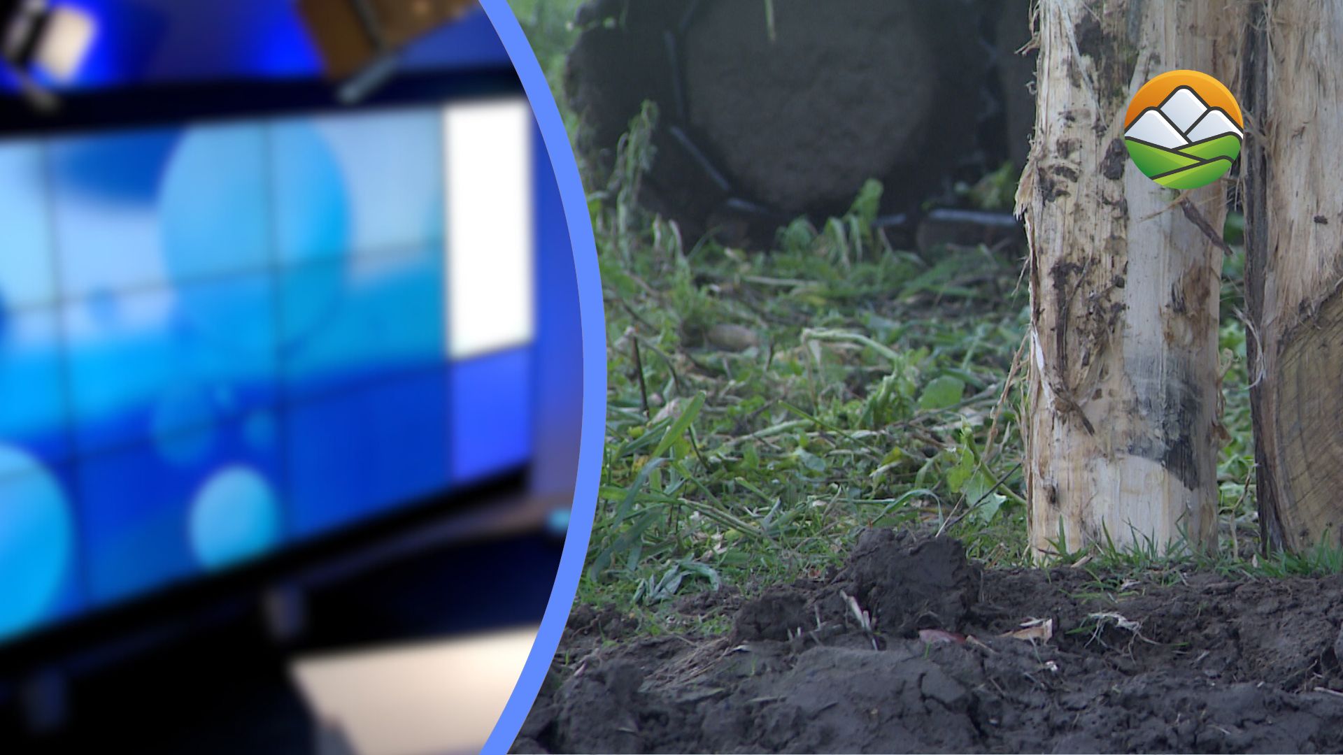 Vandaag Nieuws: palen tegen modderstromen in Terblijt