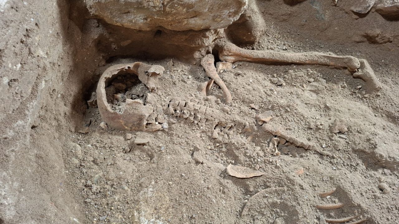 Is het d'Artagnan of niet? Eerste resultaten onderzoek skelet Wolder bekend