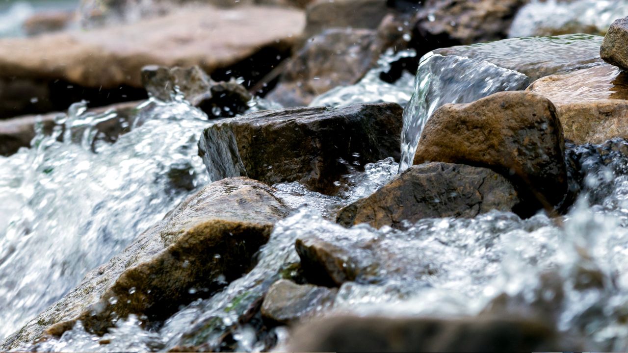 Waterschap activeert crisisorganisatie vanwege aanhoudende droogte: 'Situatie verontrustend'