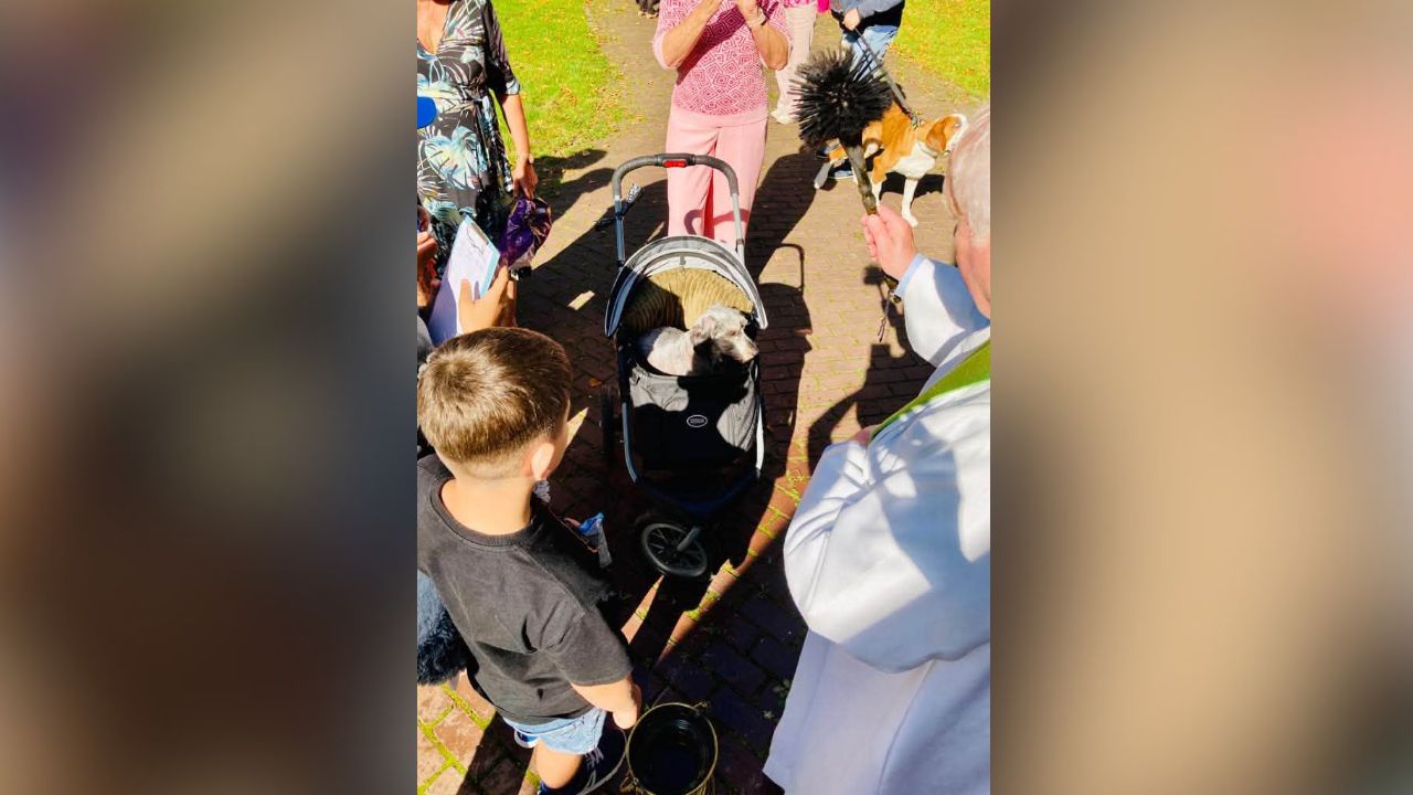 Dierenzegening bij Heilige Hartkerk in Overhoven op Dierendag